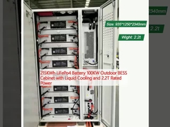 215KWh LiFePo4 باتری کابینت BESS بیرونی 100KW با خنک کننده مایع و 2.2T قدرت نامی